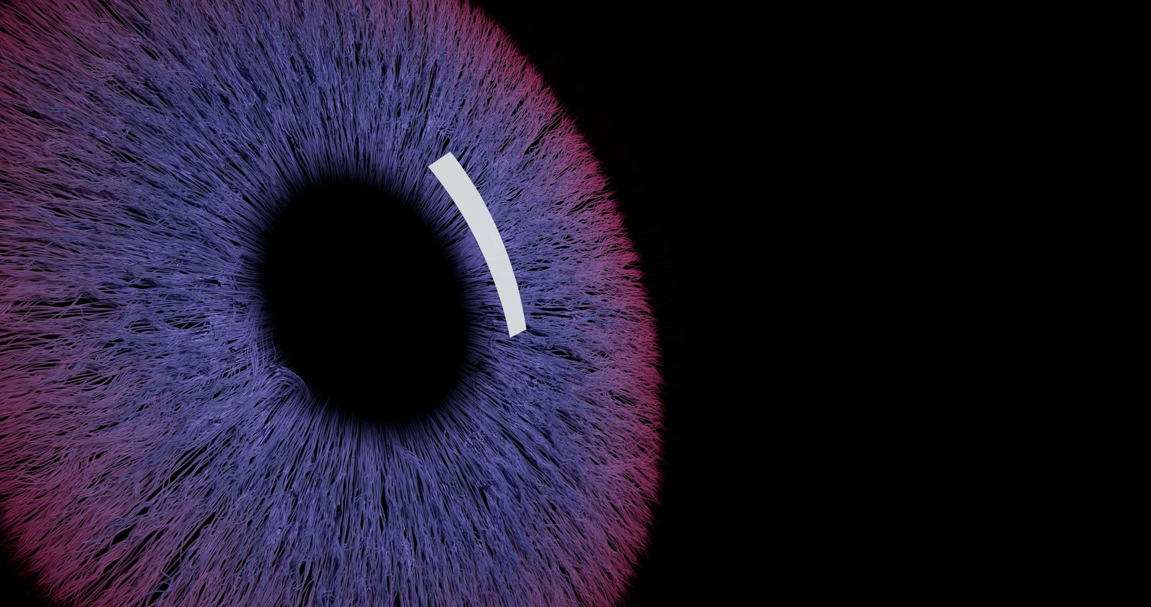 The Permanent Cost of Biometric Decisions